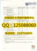 <b>英国纽卡斯尔大学成绩单制作展示纽卡斯尔大学概述</b>