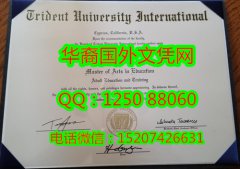 <b>Trident University International Diploma三叉戟国际大学毕业证书</b>