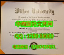 <b>Wilkes University Diploma威尔克斯大学毕业证书</b>