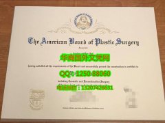 <b>American Board of Plastic Surgery Diploma美国整形外科专科医师证书</b>