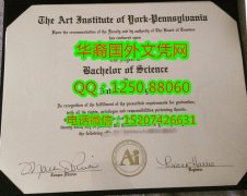<b>Art Institute of York Pennsyluania Degree Certificate Diploma约克宾夕法尼亚艺术学院毕业证</b>