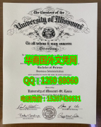 <b>University of Missouri St. Louis Degree Certificate Diploma密苏里大学圣路易斯分校毕业证书</b>