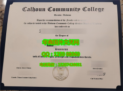 Calhoun Community College Diploma美国卡尔霍恩社区学院